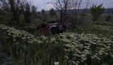 Бої на східному напрямку