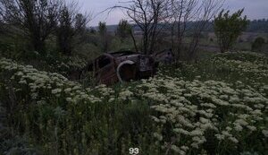 Бої на східному напрямку