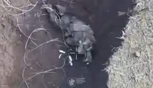 На Александровском направлении морпехи 37-й бригады ликвидировали 31 оккупанта за сутки. ВИДЕО