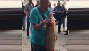 Житель Черновцов поймал рыбу на затопленном паводком Калиновском рынке. ВИДЕО