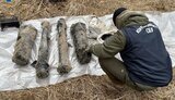У задержанного наемника "ЛНР" на Харьковщине выявлен тайник с оружием, - СБУ. ВИДЕО+ФОТОрепортаж