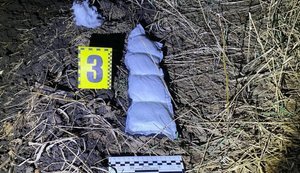 Побили п’ятьох неповнолітніх на Сумщині: двох молодиків засуджено до двох та трьох років. ФОТО