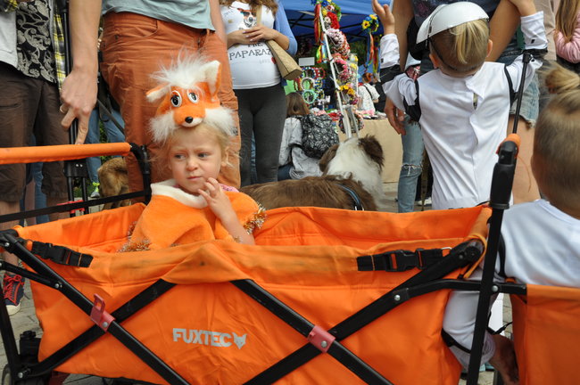 Thousand of Ukrainians protested against animals’ abuse 03