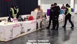 Поліція закрила в столиці виставку котів. ВIДЕО