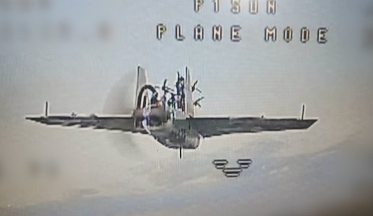 Перехоплювачі P1-SUN збили "Гербери", які несли FPV-дрони на борту. ВIДЕО