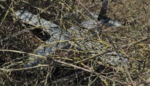Дрон знайшли у районі торгового центру в Кишиневі. ФОТО