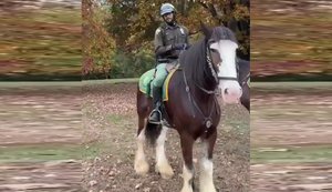 Нью-Йоркський поліцейський здивував українку: на коні продекламував "Садок вишневий коло хати". ВIДЕО