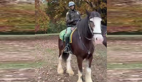 нью-йоркський поліцейський продекламував шевченка у бруклінському парку