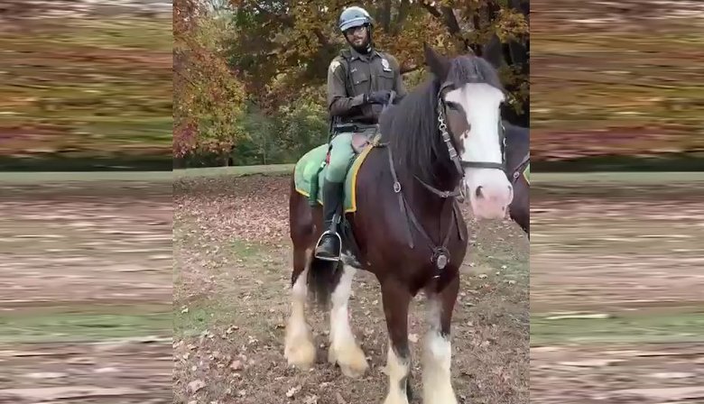Нью-Йоркський поліцейський здивував українку: на коні продекламував "Садок вишневий коло хати". ВIДЕО