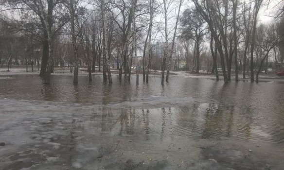 У Запоріжжі через різке потепління підтопило парки і сквери 04 У Запоріжжі через різке потепління підтопило парки і сквери 04