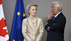Europe did not veto the use of frozen Russian assets