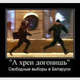 Свободные выборы в Беларуси