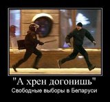 Свободные выборы в Беларуси