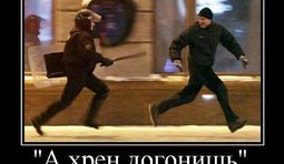 Свободные выборы в Беларуси