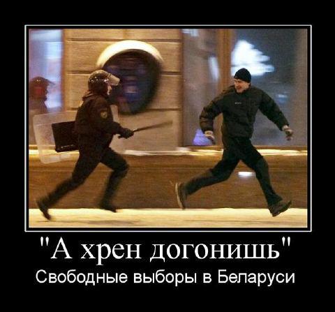 Свободные выборы в Беларуси