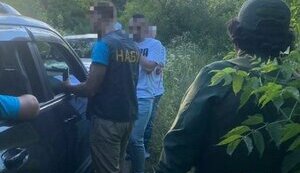набу,сап