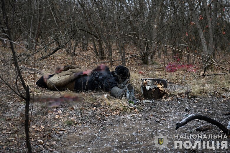 Mushroom picker decided to take home part of projectile and died from explosion, - police 01