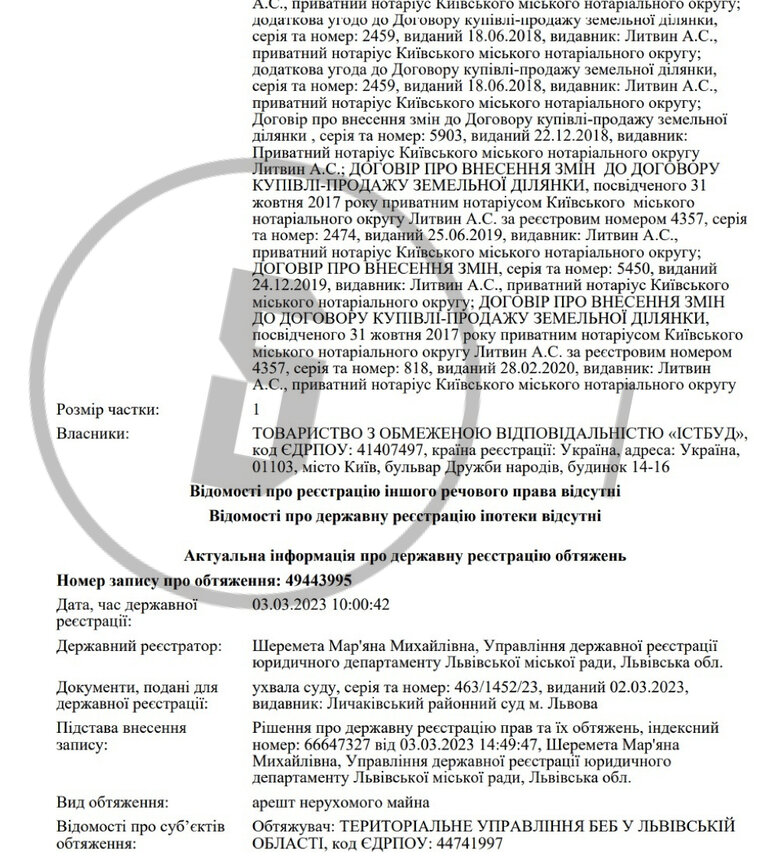 Суд арестовал активы подставного лица Козака-Медведчука, - СМИ 04