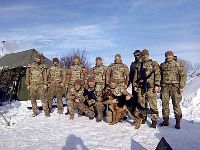 помощь волонтеры