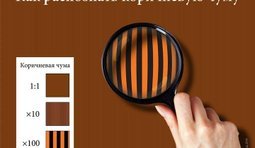 Коричневая чума
