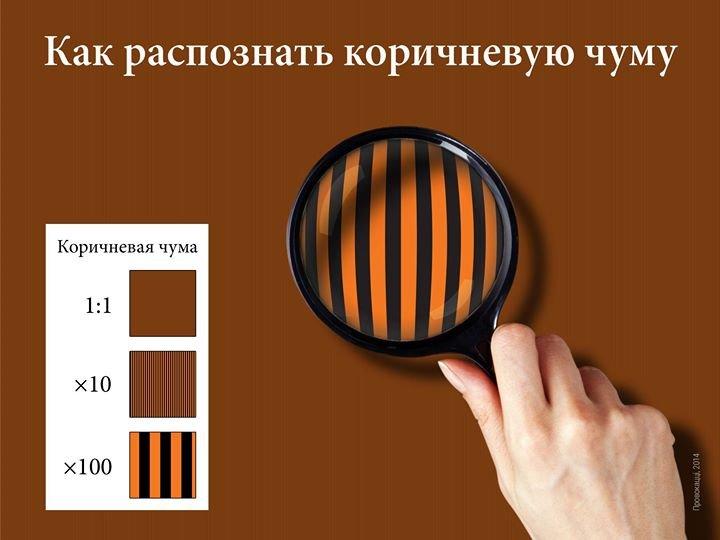 Коричневая чума