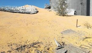 Під Сумами розірвало елеватор: на вулицю і городи висипалося 10 000 тонн кукурудзи. ВІДЕО+ФОТОрепортаж