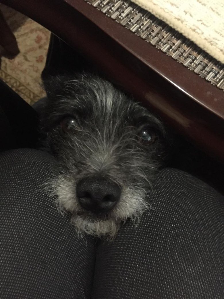 Російські десантники хотіли дуже круто і швидко проїхати до столиці. Але на шляху стався Ірпінь. Ми рашистів дуже розчарували, - 59-річний воїн ТрО Дід 04