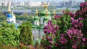 Власти Киева запустили онлайн-консультации по размещению рекламы