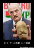 Корни