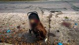 Рашисты ударили дроном по парку на Харьковщине: 6 погибших, среди них – младенец, 14 раненых. ФОТО (обновлено)