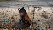 Атака РФ на Новую Водолагу 19 октября 2026 года