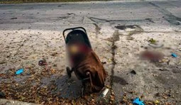 Рашисты ударили дроном по парку на Харьковщине: 6 погибших, среди них – младенец, 14 раненых. ФОТО (обновлено)