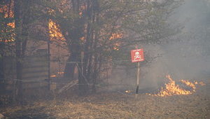 Пожежі в Україні: вогонь у Дворічанському лісництві на Харківщині та в трьох осередках на Луганщині локалізовано, загрози населеним пунктам немає, - ДСНС