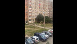 діти
