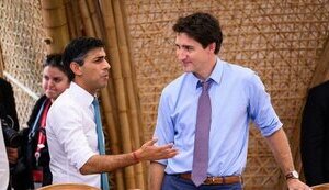 трюдо,сунак