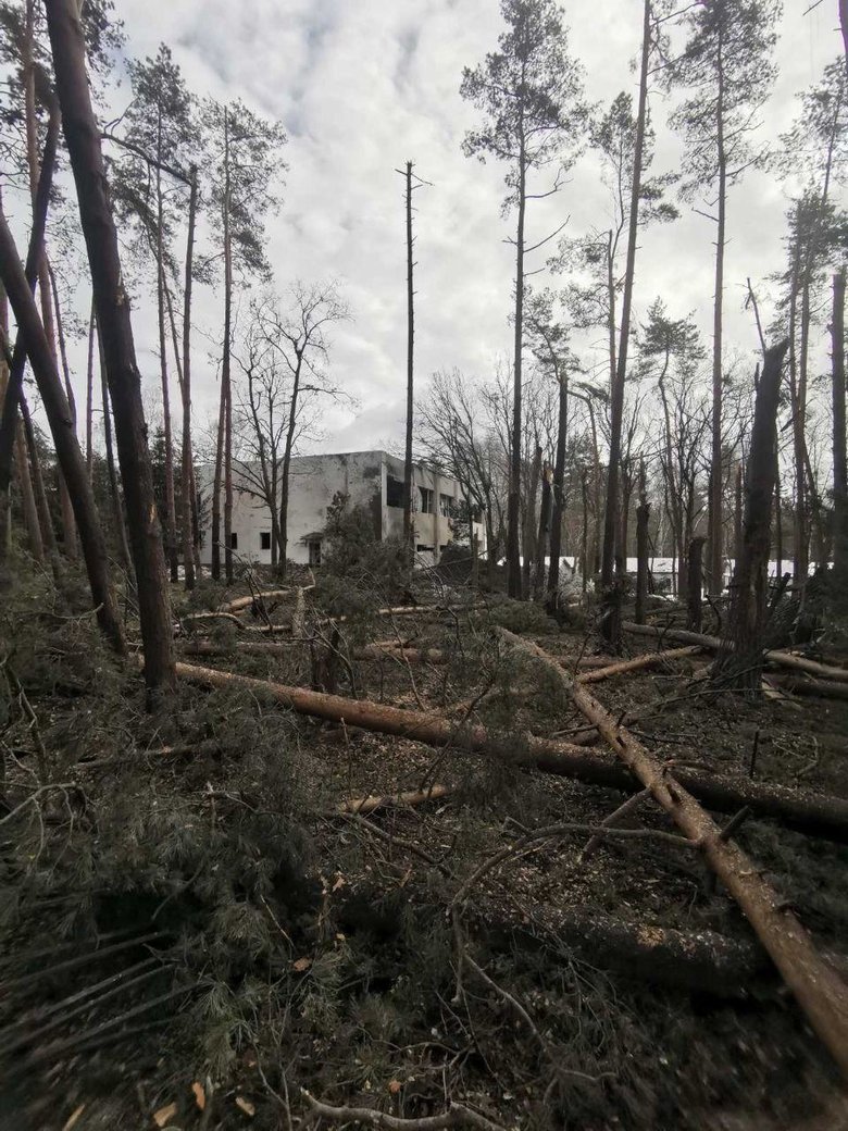 Авіаудар по Сумах: загинули 22 людини, зокрема 3 дітей з однієї сім’ї 17
