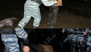 беркут