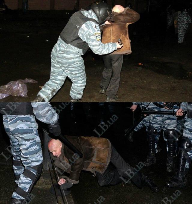 беркут