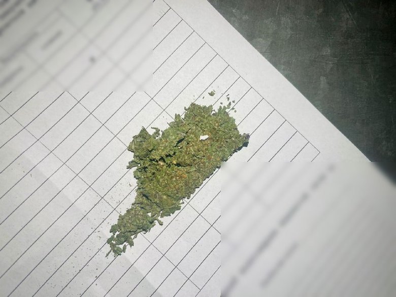 Украинец пытался провезти наркотики в Польшу, спрятав их в кроссовках, - Госпогранслужба 03