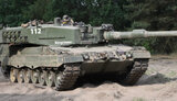 leopard