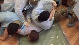 медведько бузина польщук