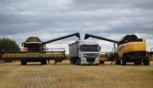 Фонд оплати праці водіїв у агросекторі зріс на 16%: як залежить рівень зарплати від класу транспорту?. ІНФОГРАФІКА