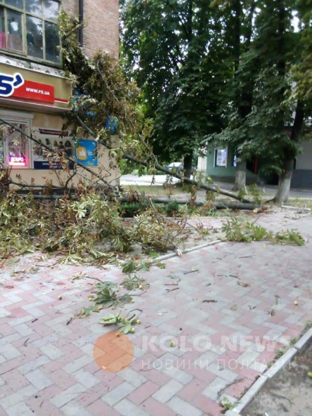 Ливень со шквальным ветром накрыл Полтаву вечером 6 августа 03