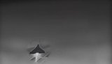 F-Drones releases upgraded interceptor drone for jet-powered "Shaheds": LITAVR+ reaches speeds of over 400 km/h. VIDEO