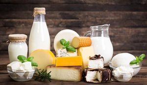 ЄС оновлює правила імпорту молочної продукції: що потрібно врахувати українським експортерам?
