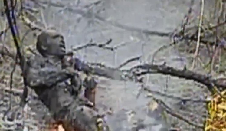 "Поджарили до хрустящей корочки": дронари "Птахів Мадяра" ударили в рашиста в зарослях