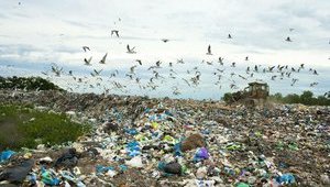 "Наши болезни, онкология – это те деньги, которые мы сэкономили на тарифе на переработку мусора"
