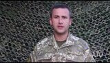 ато сводка