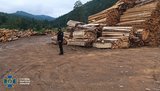 СБУ заблокировала продажу леса из заповедной зоны на Буковине
