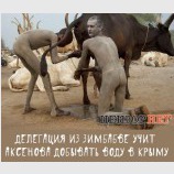 Обмен опытом